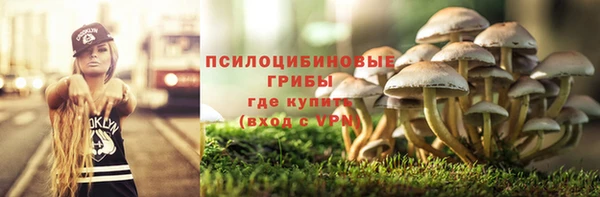 гашик Богородицк