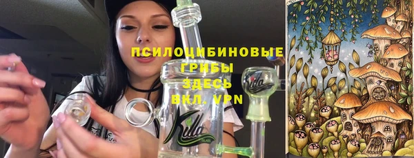 ешки Богородск