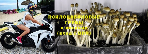 герыч Беломорск