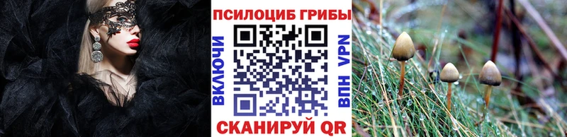 Галлюциногенные грибы ЛСД  Городец 