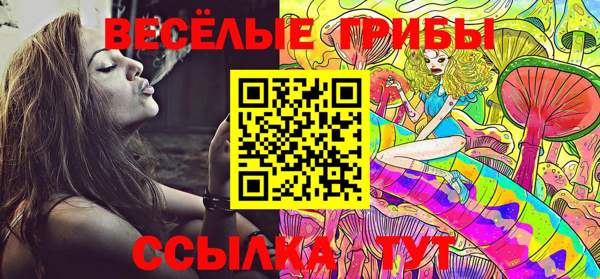 Галлюциногенные грибы прущие грибы  купить   Городец  Вход с VPN 
